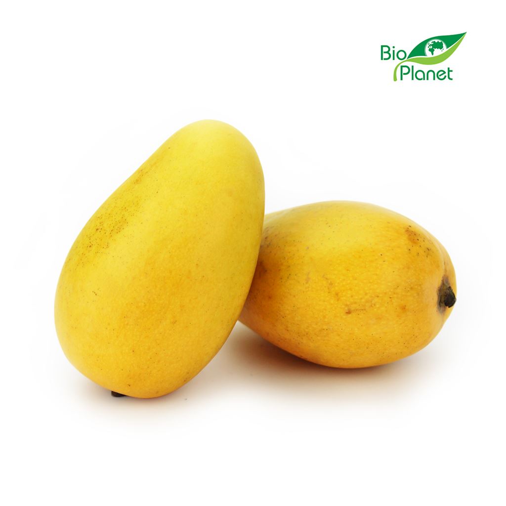 OPAKOWANIE ZBIORCZE (szt) - MANGO ATAULFO ŚWIEŻE BIO (około 20 sztuk)